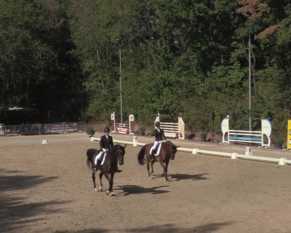 Reitturnier Köln-Flittard 2022
