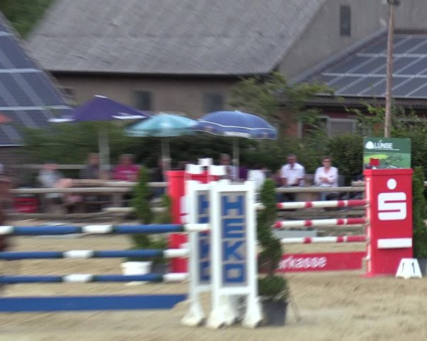 Reitturnier Vlotho-Valdorf 2022