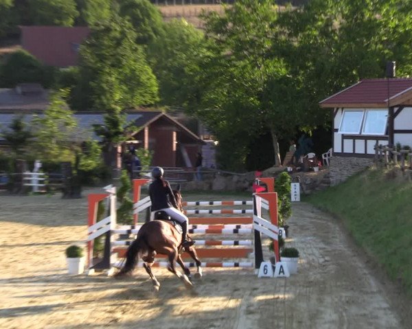 Reitturnier Vlotho-Valdorf 2022