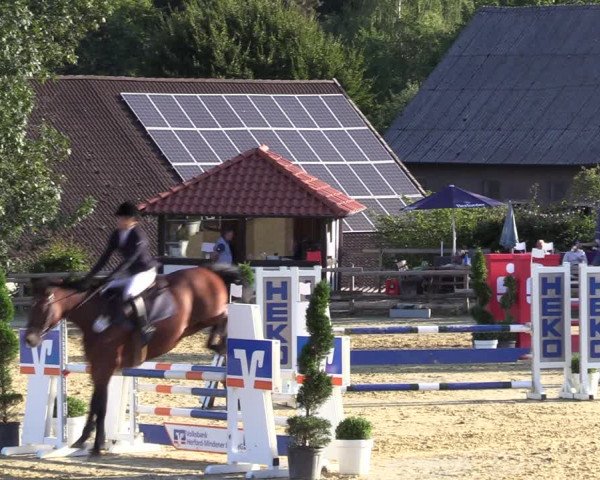Reitturnier Vlotho-Valdorf 2022