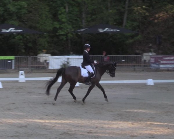 Reitturnier Köln-Flittard 2022