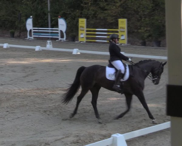 Reitturnier Köln-Flittard 2022