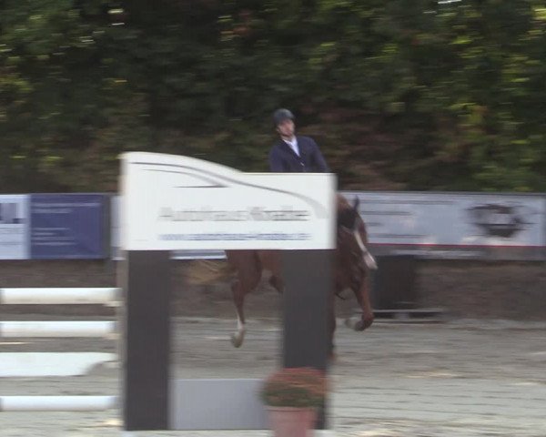 Reitturnier Meinerzhagen 2022