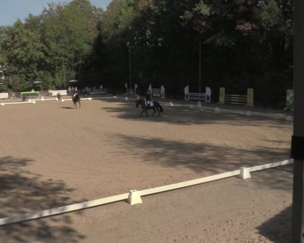 Reitturnier Köln-Flittard 2022