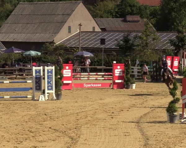 Reitturnier Vlotho-Valdorf 2022