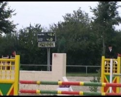 jumper Contenance 2 (Oldenburg, 2003, from Conterno Grande)