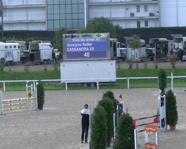 Reitturnier Bülach 2022