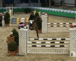jumper Chocitoki (Hanoverian, 2007, from Catoki)