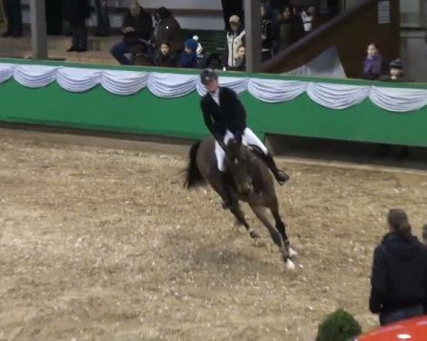broodmare Confidence 10 (Westphalian, 2007, from Cocktail Jet)