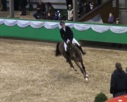 broodmare Confidence 10 (Westphalian, 2007, from Cocktail Jet)