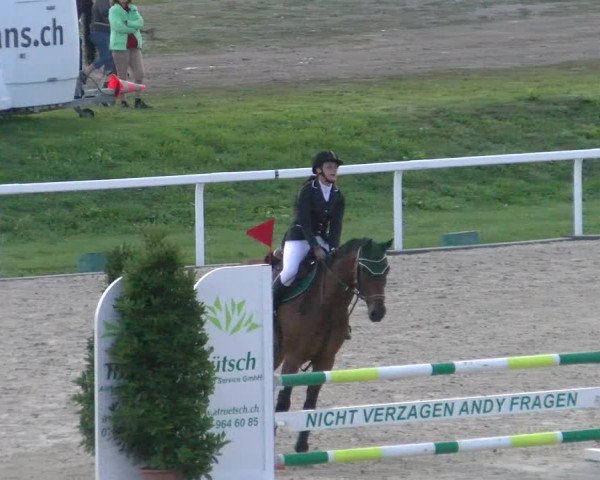 Reitturnier Bülach 2022