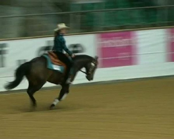 horse Nitas Big Roothy (Quarter Horse, 2006, from Big Time Rooster)