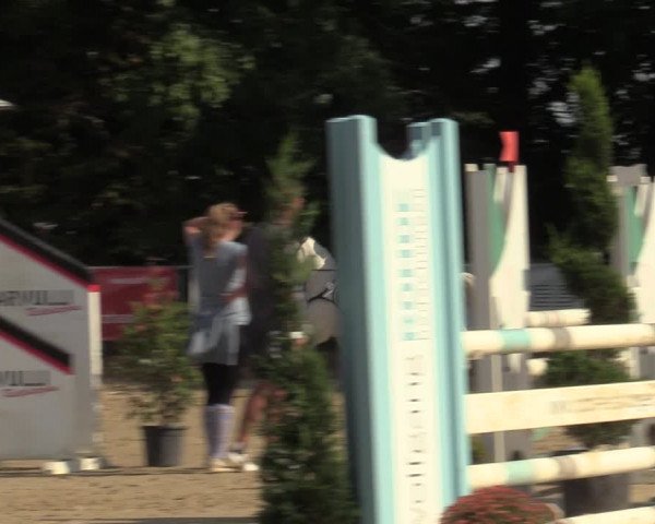 Reitturnier Meinerzhagen 2022