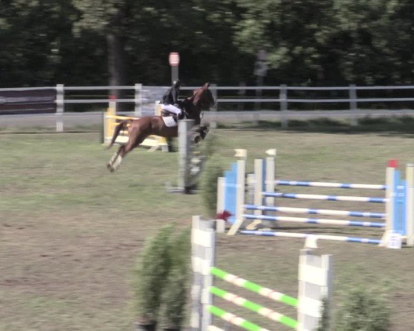 Jezdecký turnaj Müncheberg 2022