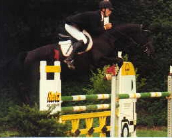 broodmare Amazing (Trakehner, 1995, from Kostolany)