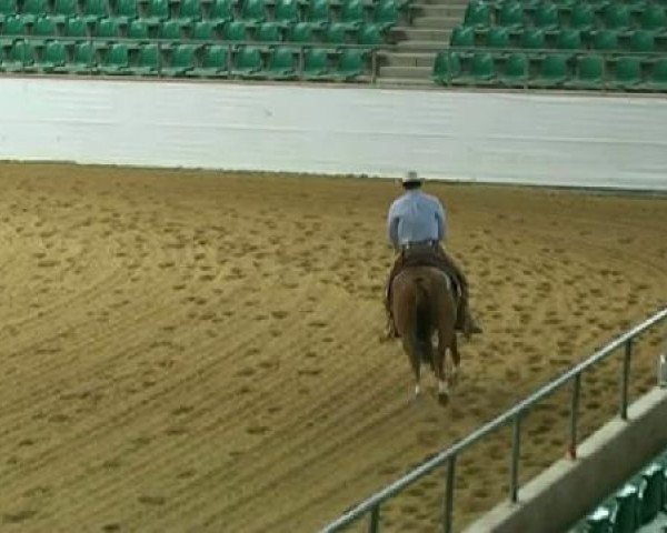 horse One Hollywood Dunit (Quarter Horse, 2006, from BH IS Dun)