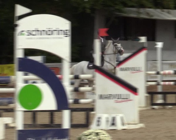 Reitturnier Meinerzhagen 2022