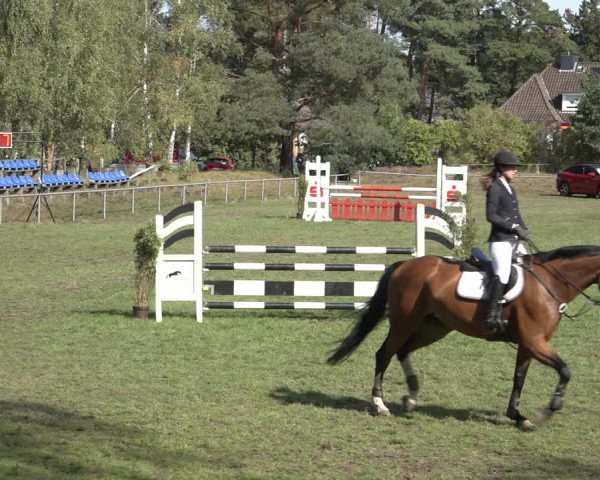 Reitturnier Dannenberg 2022
