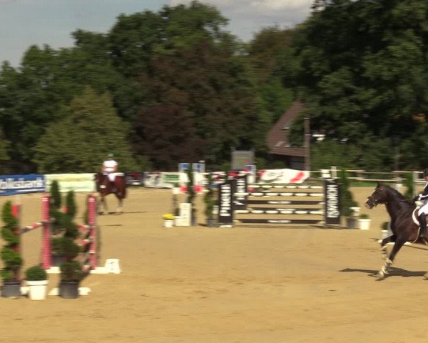 Reitturnier Vlotho-Valdorf 2022