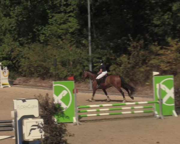 Reitturnier Köln-Flittard 2022