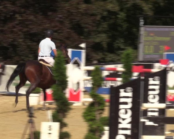 Reitturnier Vlotho-Valdorf 2022