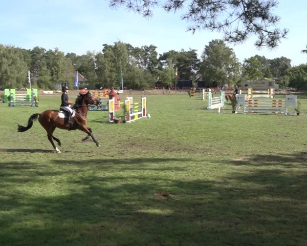 Reitturnier Dannenberg 2022