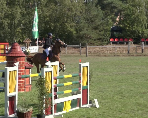 Reitturnier Dannenberg 2022