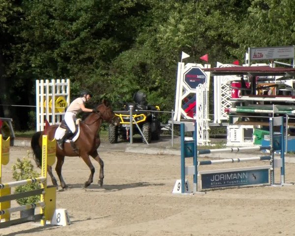 Reitturnier Maienfeld 2022