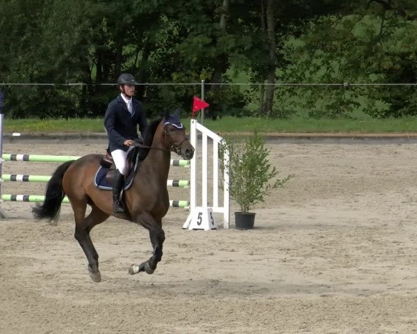 Reitturnier Maienfeld 2022