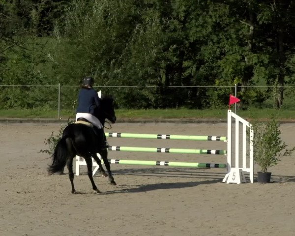 Reitturnier Maienfeld 2022