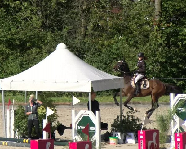 Reitturnier Maienfeld 2022