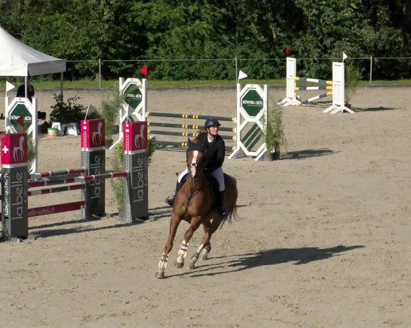 Reitturnier Maienfeld 2022