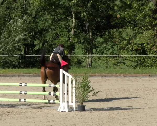 Reitturnier Maienfeld 2022