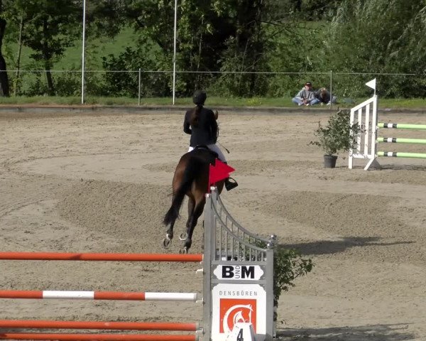 Reitturnier Maienfeld 2022