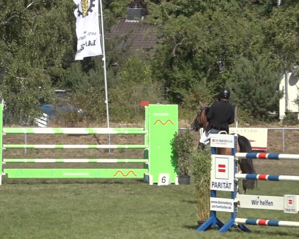 Reitturnier Dannenberg 2022