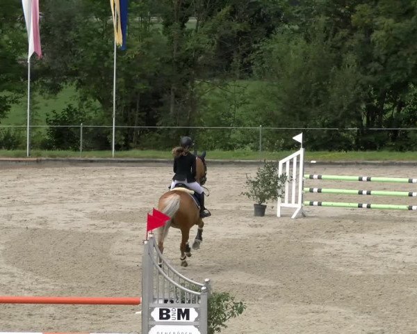 Reitturnier Maienfeld 2022