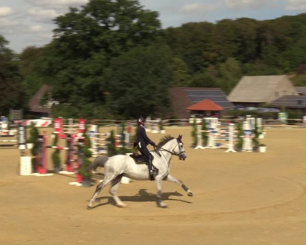 Reitturnier Vlotho-Valdorf 2022