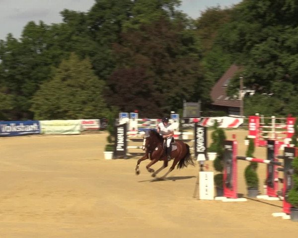 Reitturnier Vlotho-Valdorf 2022
