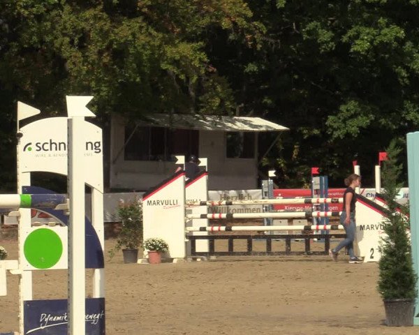 Reitturnier Meinerzhagen 2022