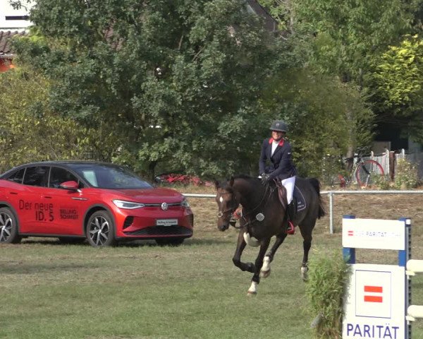 Reitturnier Dannenberg 2022