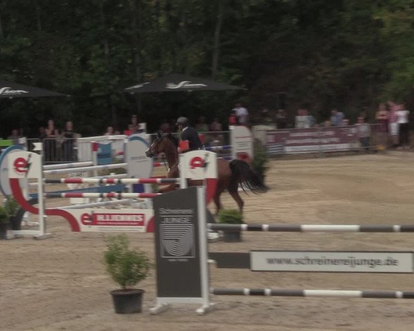 Reitturnier Köln-Flittard 2022