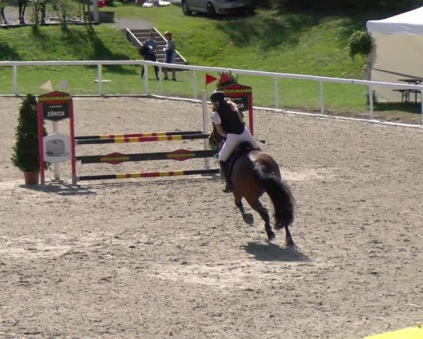 Reitturnier Bülach 2022