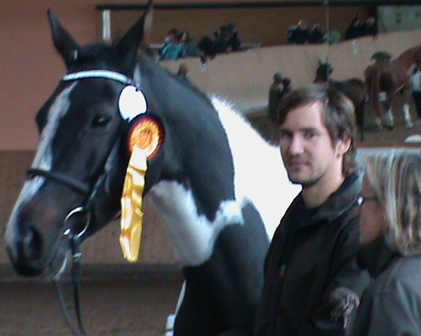 broodmare Alice's Sue (German Sport Horse, 2002, from Rubioso N)