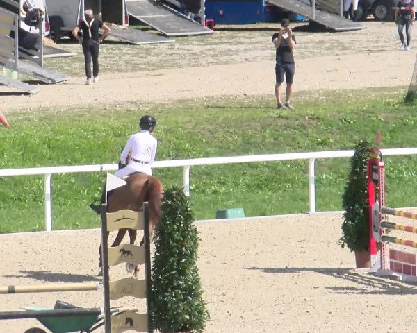 Reitturnier Bülach 2022