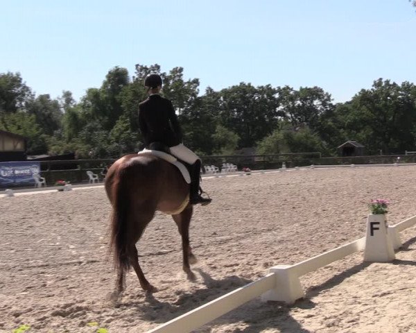Reitturnier Müncheberg 2022