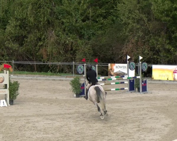 Reitturnier Maienfeld 2022