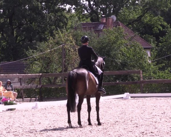 Reitturnier Müncheberg 2022