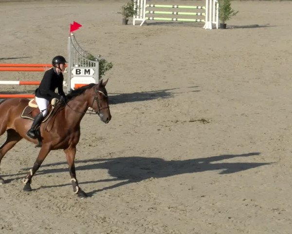 Reitturnier Maienfeld 2022