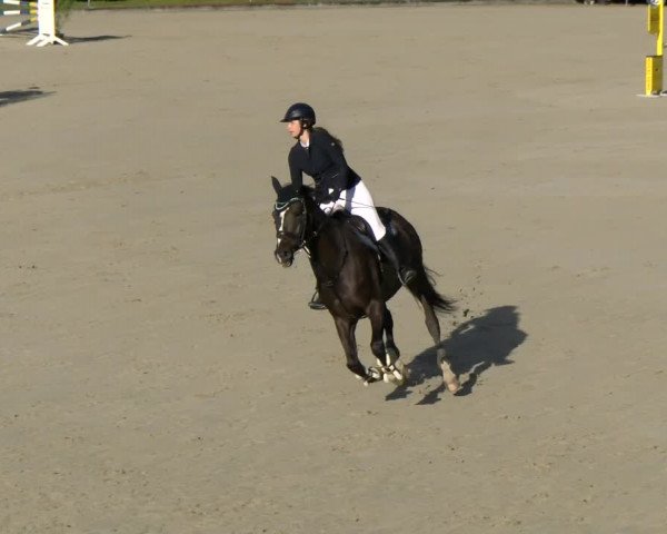Reitturnier Maienfeld 2022