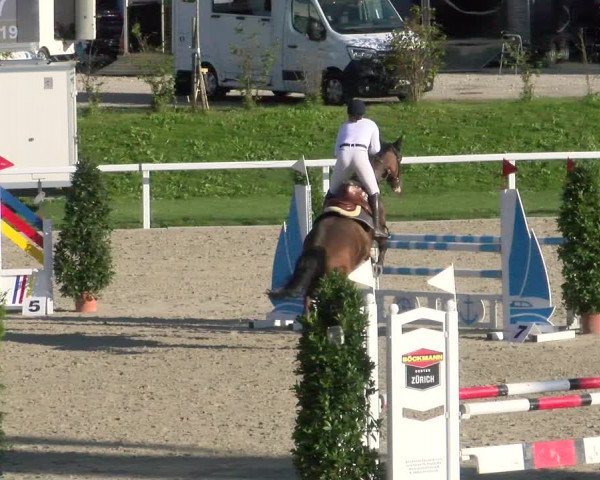 Reitturnier Bülach 2022